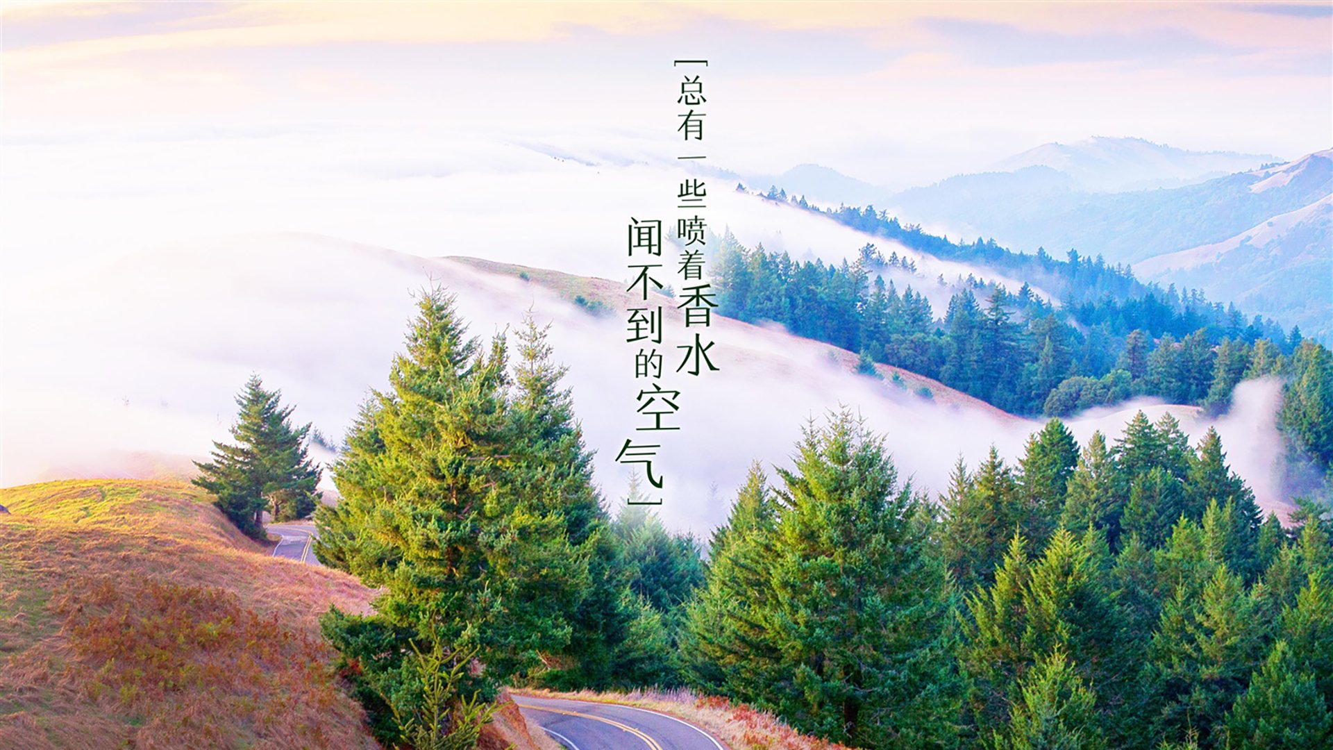 kaiyun官方网站-公牛队新秀连续高光表现，成为球队新宠，公牛队最新球员名单