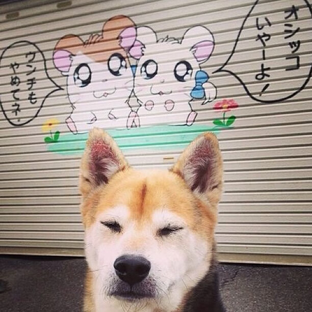 明星专访：球场外的明星生活揭秘，明星踢球
