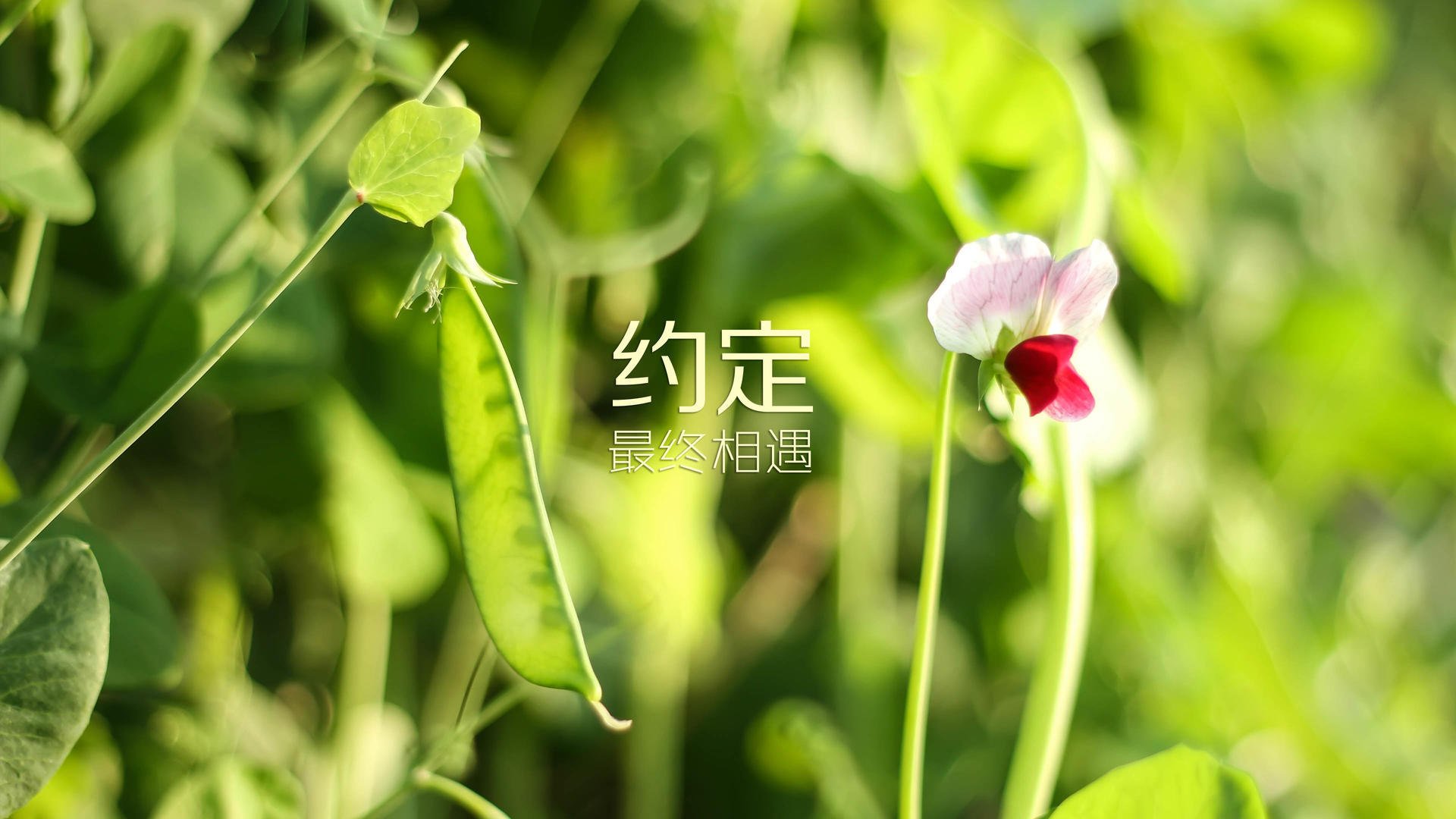 kaiyun官方网站-球迷投票：你最喜欢的比赛瞬间是哪一场？，你最喜欢哪个球队这个问题怎么回答