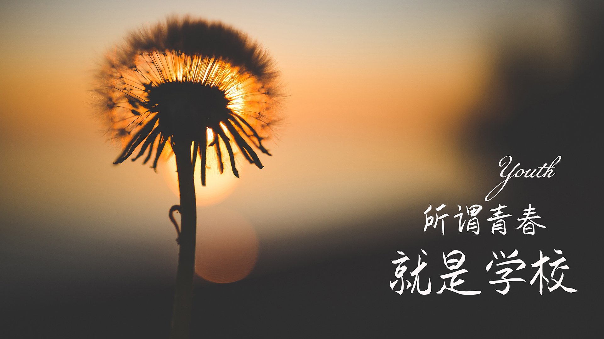车迷热议：哪个车手的表现最值得期待？，最好的车手