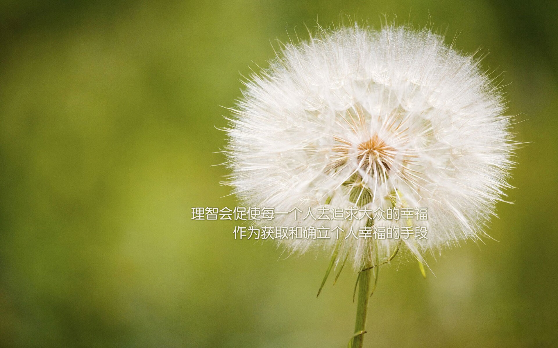 开云体育-快船落后分尴尬惨败独行侠，莱昂纳德单场分难救主，莱昂纳德快船十佳球