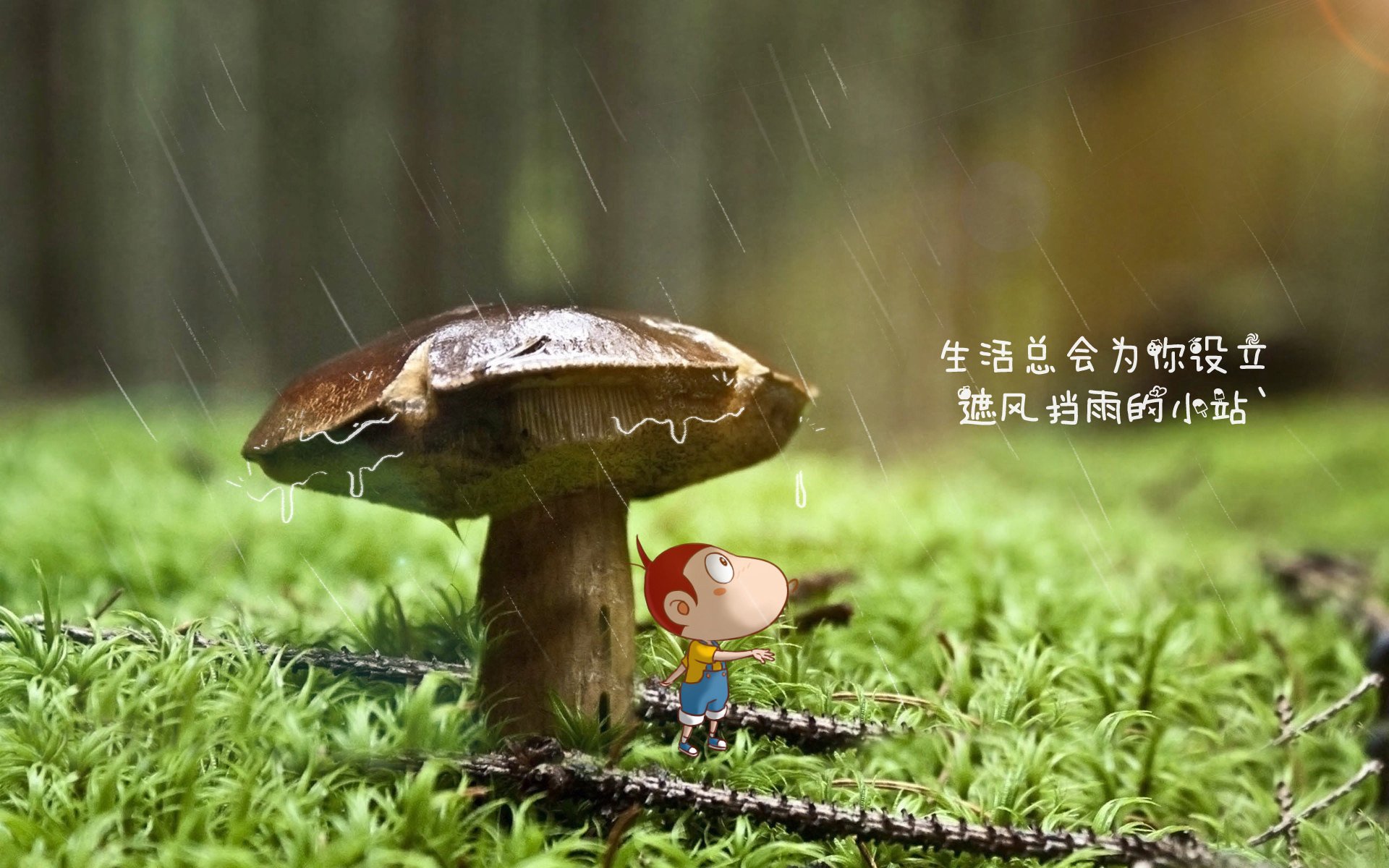 老鹰球迷痴狂庆祝 悍然挑战现行规则，悍匪老鹰原型