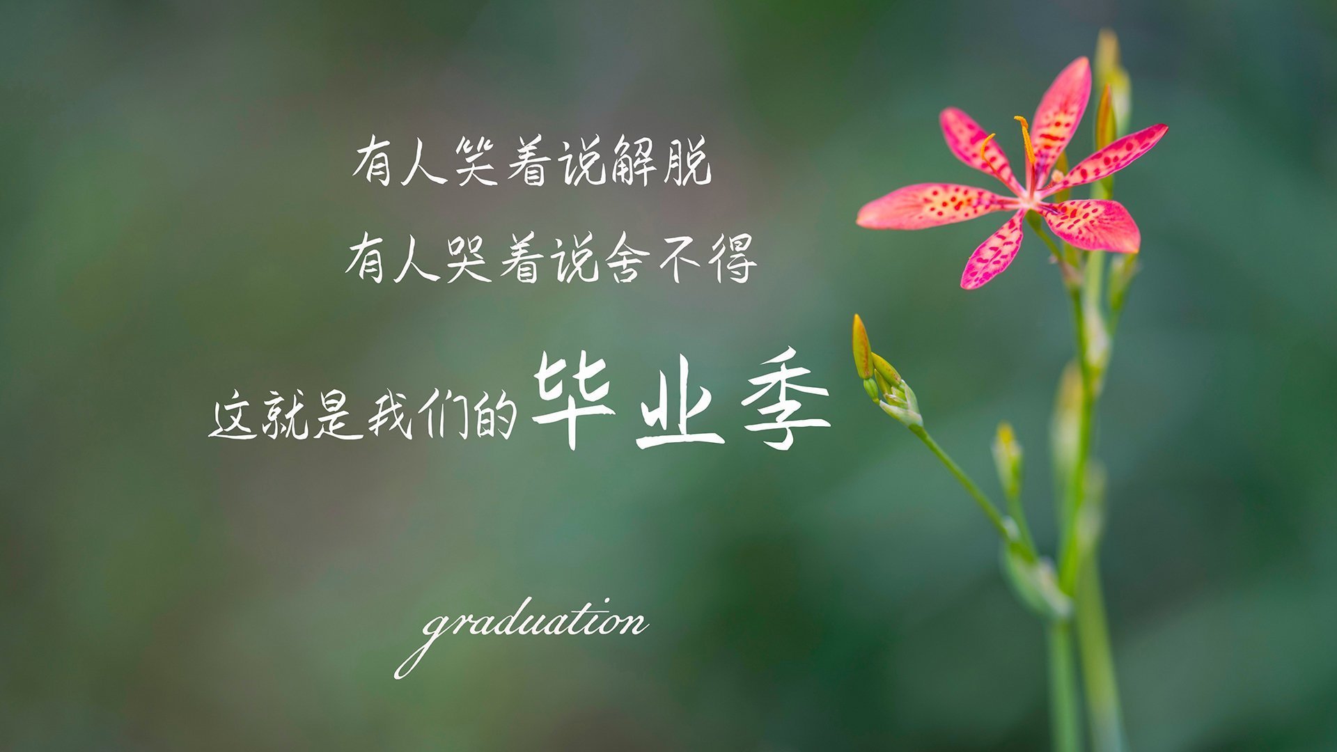 门兴格拉德巴赫新援首秀表现亮眼，门兴格拉德巴赫主力门将