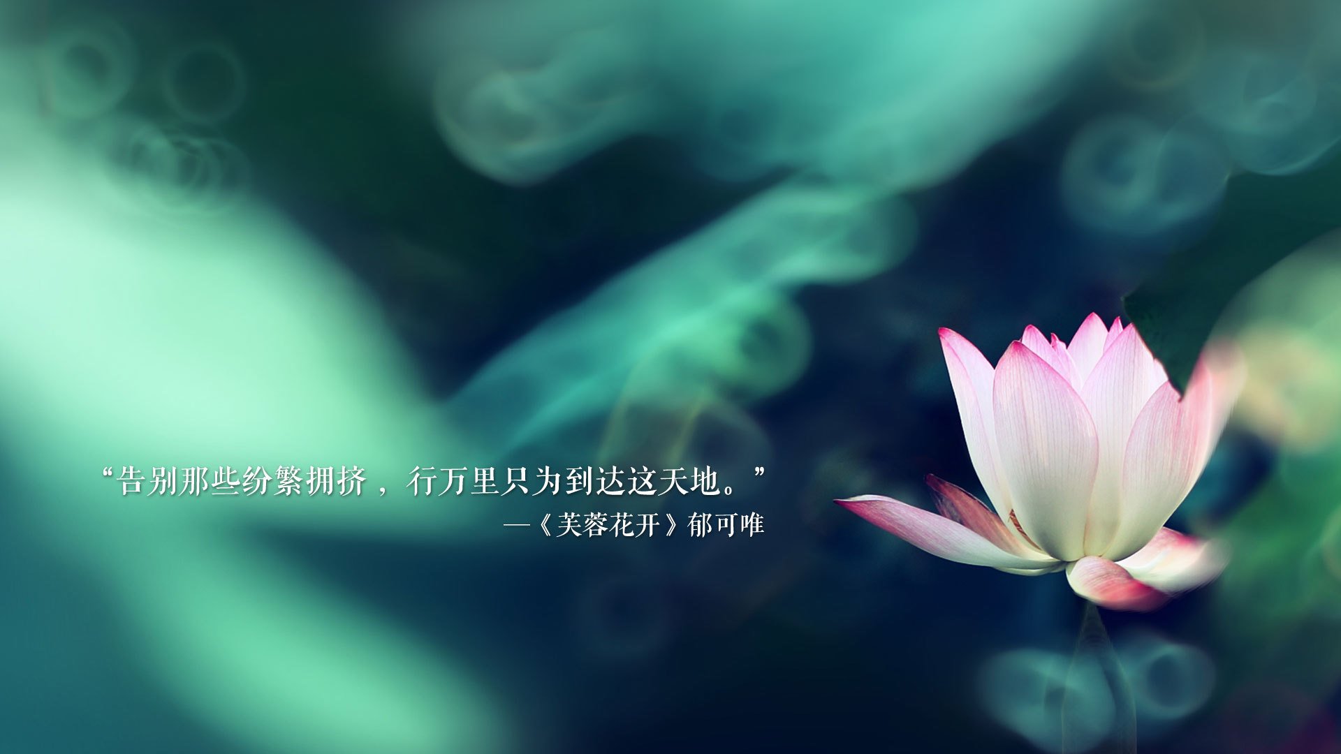 CBA联盟投入资源推动女篮职业联赛规范发展，cba女篮名单