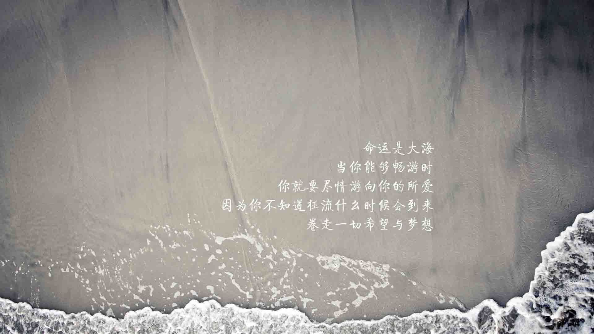 赛事数据解读选手竞技状态，选手锦标赛