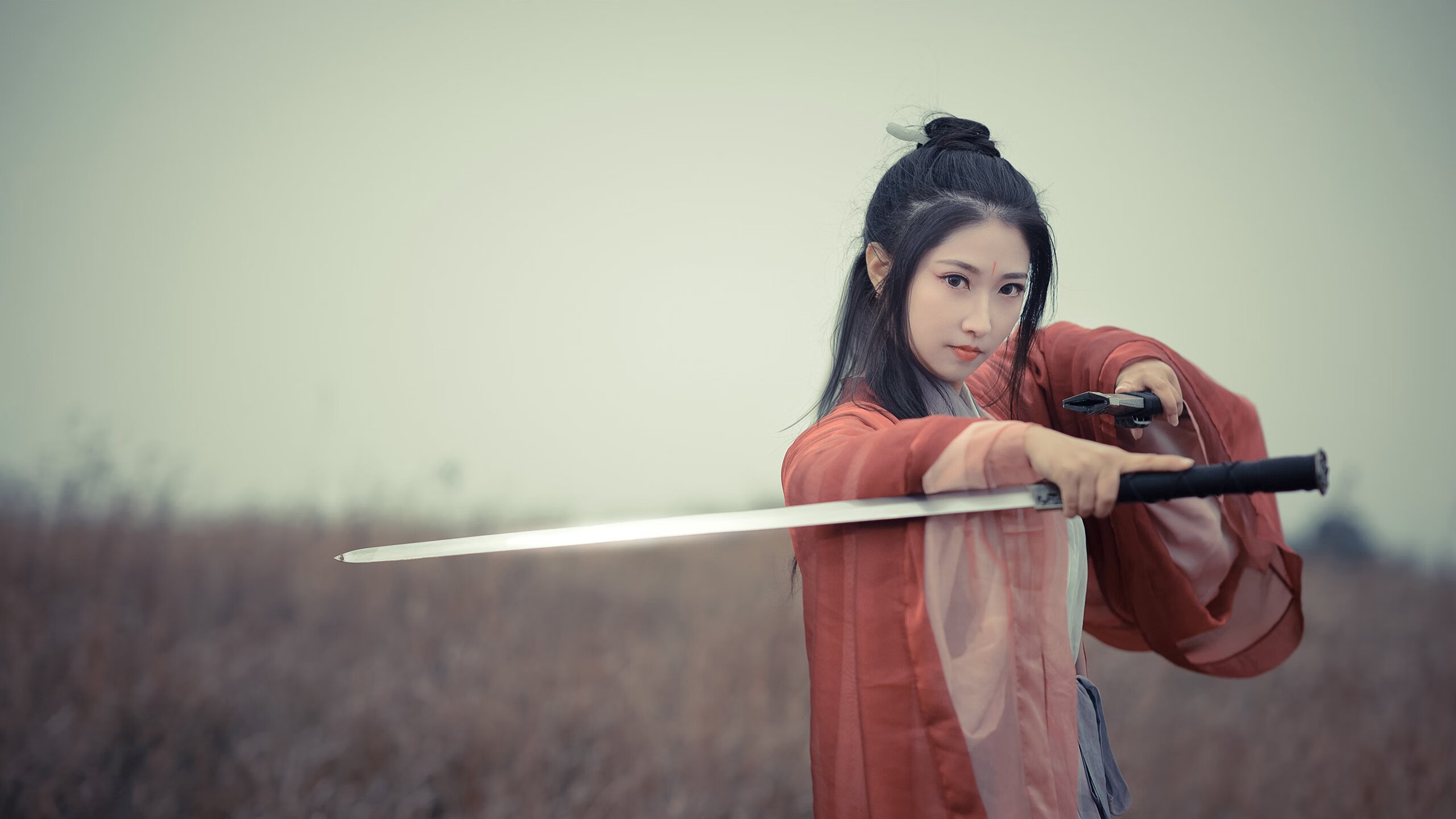 荷兰自由泳选手创造新纪录,荷兰游泳奥运冠军