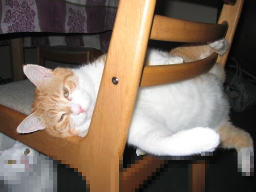 青少年赛事走向电视直播时代,青少年赛事活动有哪些