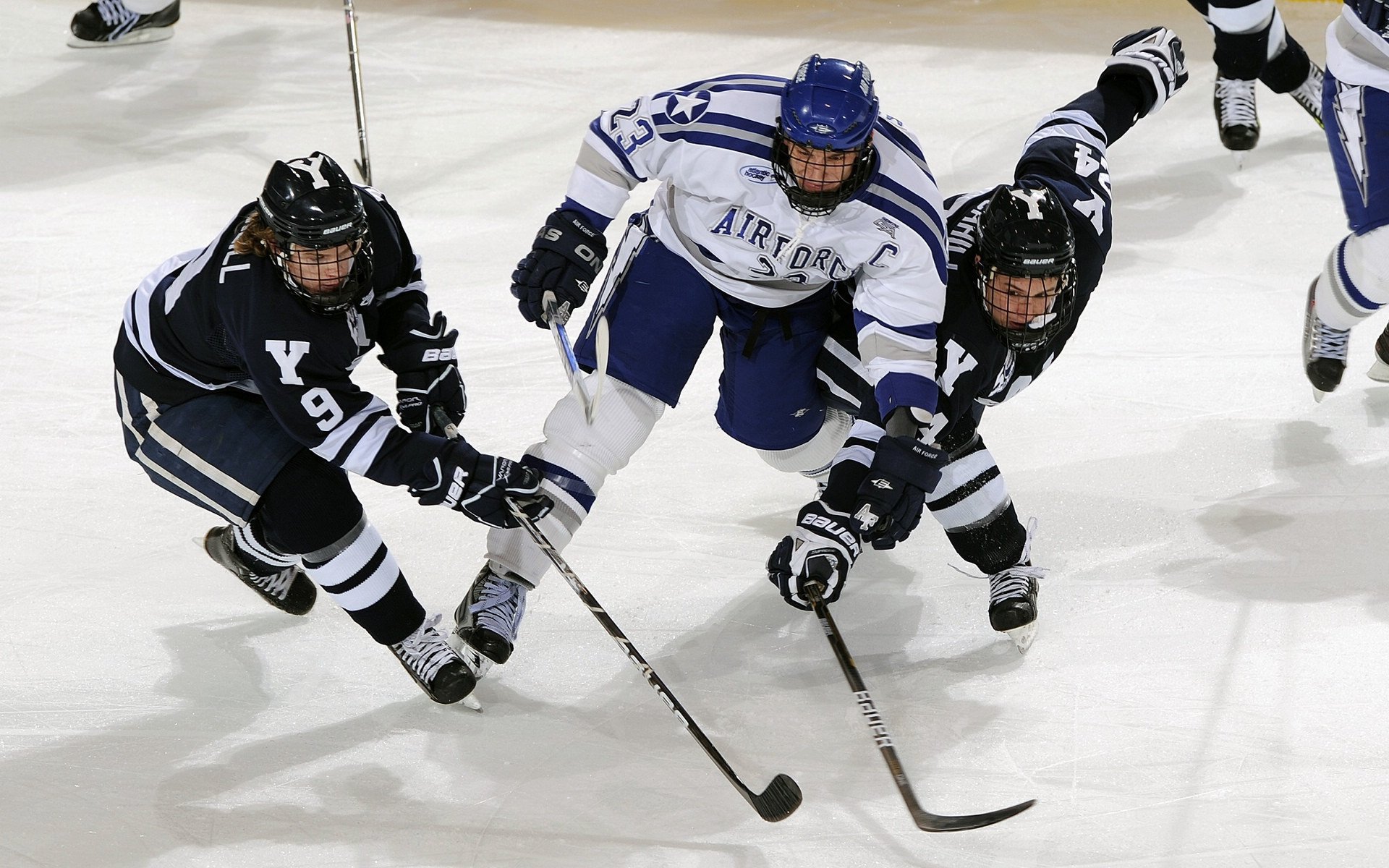 观众互动：看台区气氛火爆，看台区是什么意思